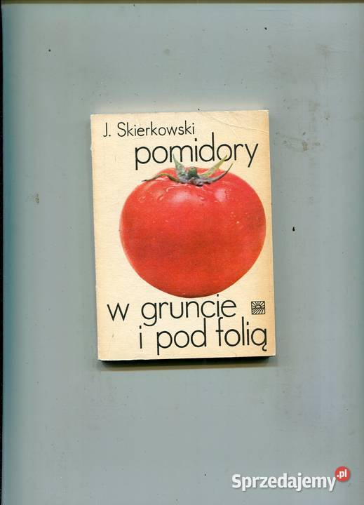 Pomidory w gruncie i pod folią Skierkowski Szczecin