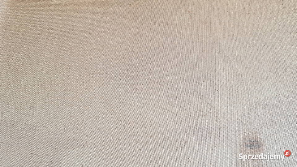 Stary duży obraz olejny pejzaż górski sygnowany Dąbrowa Górnicza sprzedam