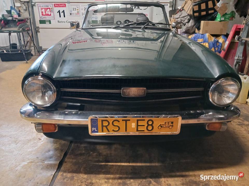 Triumph TR 6 PROJEKT benzyna sprzedam
