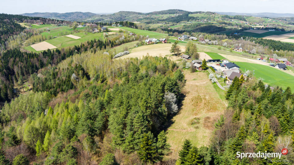 Na sprzedaż gospodarstwo rolne w Jastrzębi Jastrzębia