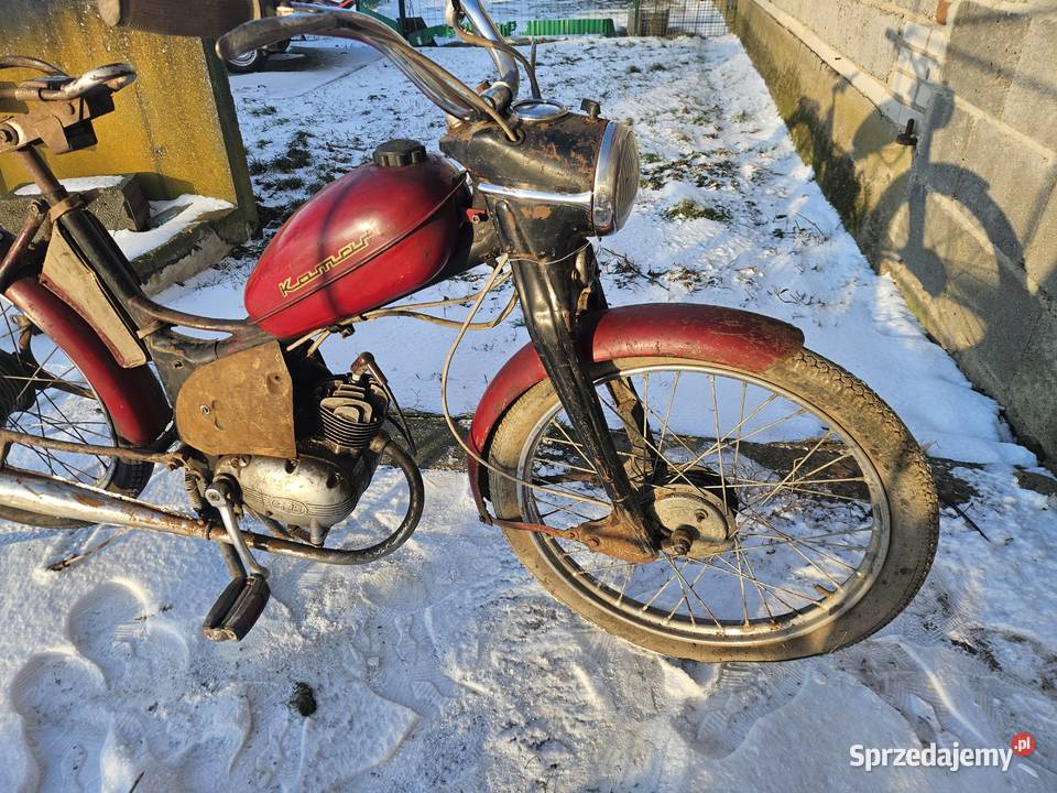 Komar sztywniak 2320 Oryginał Kłodawa