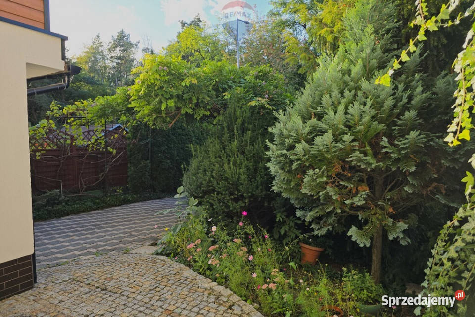 Oborniki zieleni spokój przestrzeń