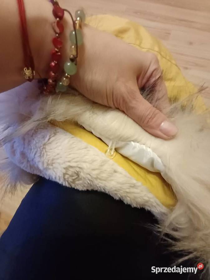 Kurtka damska Toruń