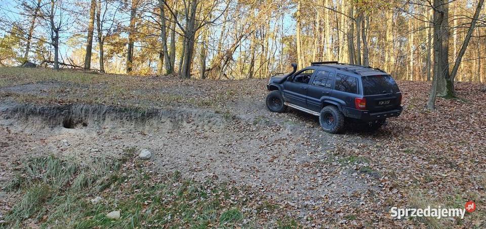Jeep Grand Cherokee 47 2000r Rok produkcji 2000 wielkopolskie Gostyń