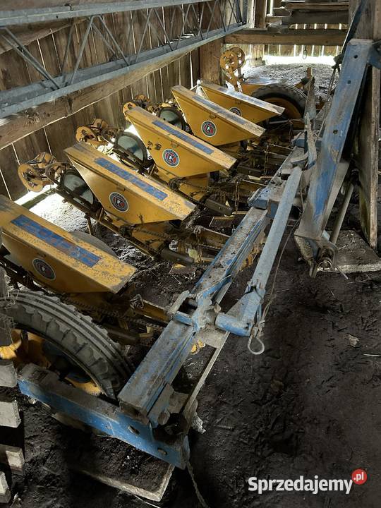 Siewnik do buraków firmy kleine małopolskie