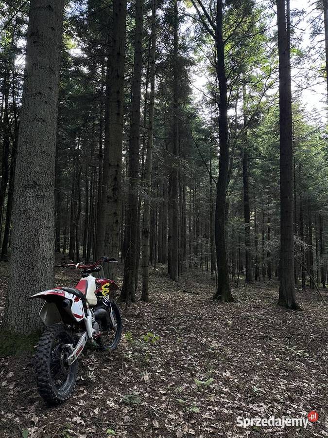 Honda cr 125 Motoryzacja Rzepiennik Strzyżewski