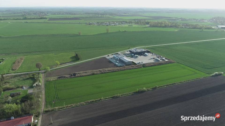 Działka 6000 m2 Milejowice Krajków Żórawina obok