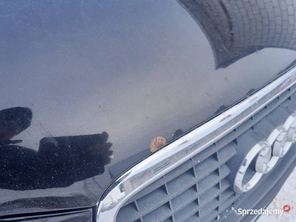 Audi A3 Sportback 19 TDI r 2005 5drzwiowy Rok produkcji 2005 Sieradz