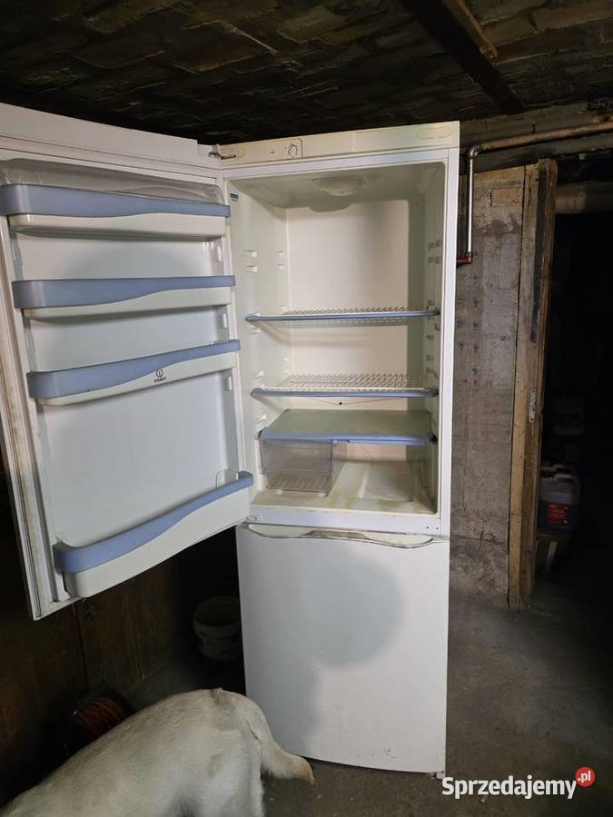 Lodówka Indesit wysoka 181 Dobrowoda