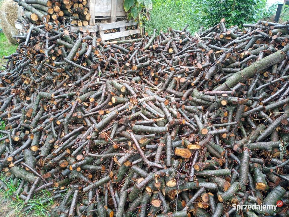 Drewno grab dąb rozpalkowe Tyszowce