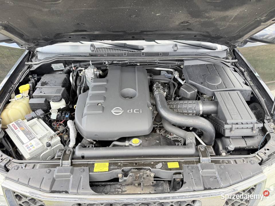 Nissan Pathfinder 7 Osób Zadbany diesel Nowogrodziec sprzedam