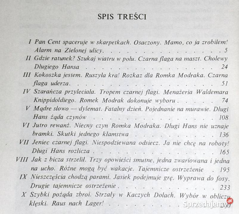 Wielka wojna z czarną flagą Wiktor Zawada Chełm