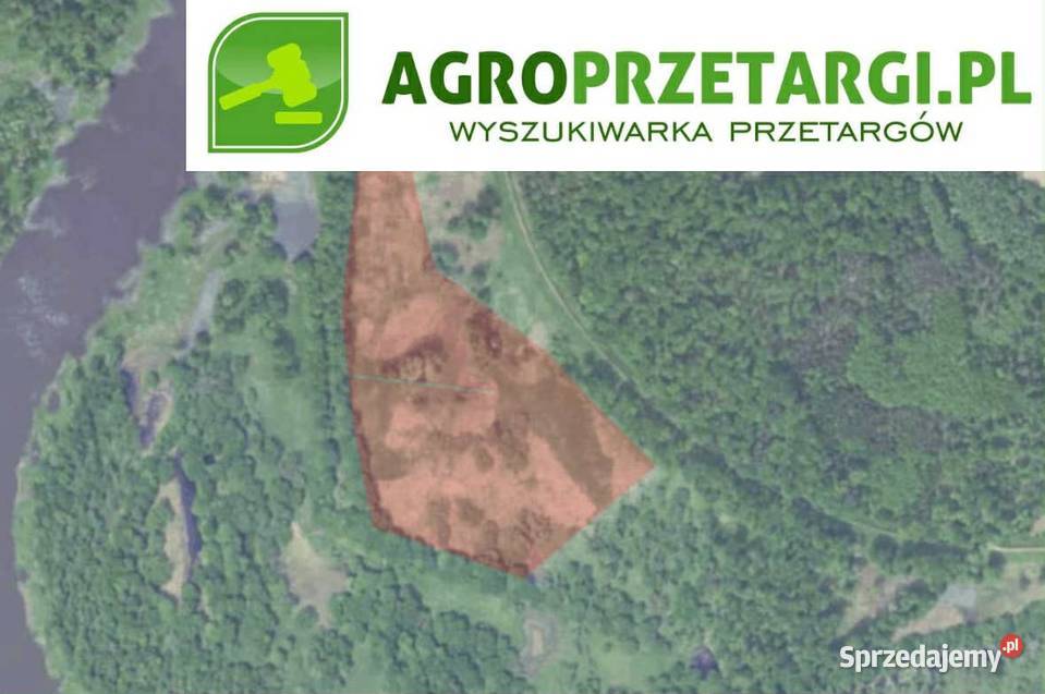 Dzierżawa 5919 ha gruntu rolnego lubuskie Zielona Góra sprzedam