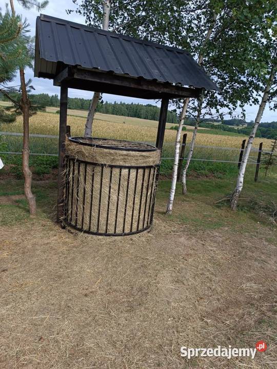 Paśnik koni Radomsko