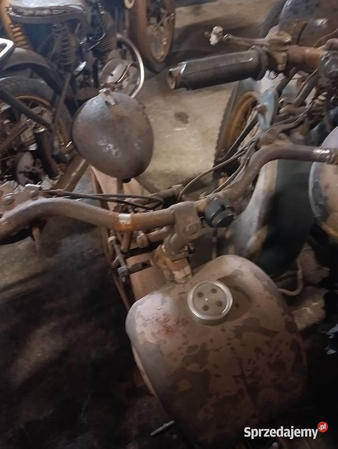 Damski terrot 100 Gostycyn