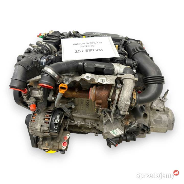 SILNIK 9HT 9H03 Citroen Berlingo Peugeot Partner