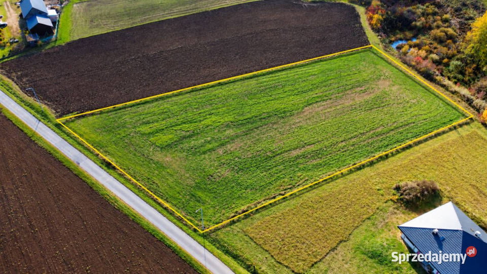 sprzedaży działki 4299m2 Tyrawa Solna