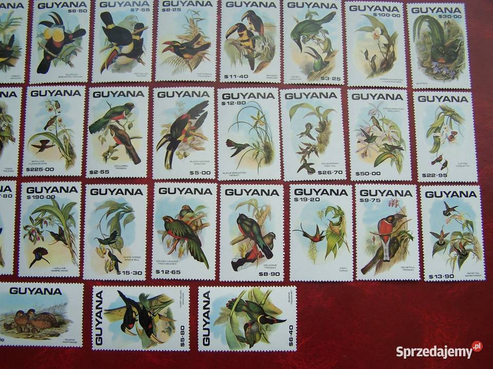 Gujana 1990 MNH Mi 3184210 Fauna Ptaki Tychy