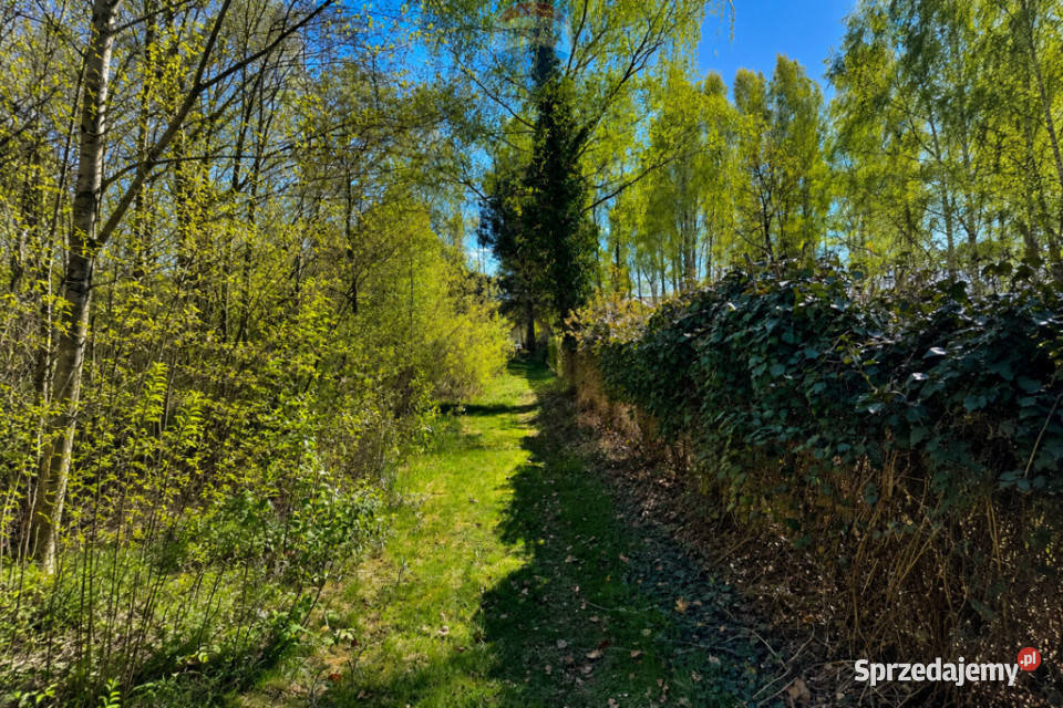 WYJĄTKOWA DZIAŁKA Z WZ 3204 m2 GRABÓW PILICĄ Grabów nad Pilicą