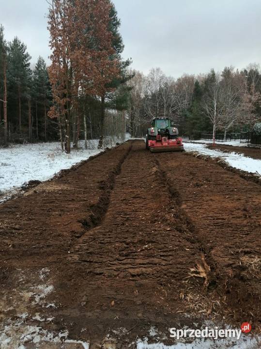 Wycinka drzew Czyszczenie działek Mulczowanie