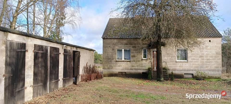 Dom w Donimierzu k Szemuda na dużej dzialce do wykończenia Donimierz sprzedam
