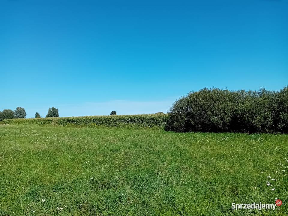 Syndyk sprzeda udziały w grunatach Żurawiec rolna Jurandowo