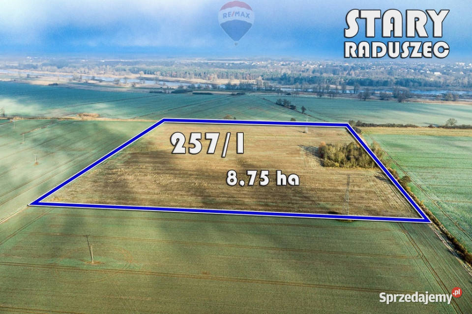 Na sprzedaż grunty orne RIIIa 875 ha lubuskie Stary Raduszec sprzedam