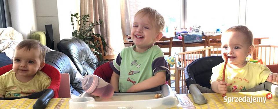 OKAZJA Inglesina Fast krzeselko karmienia dolnośląskie Krzyków