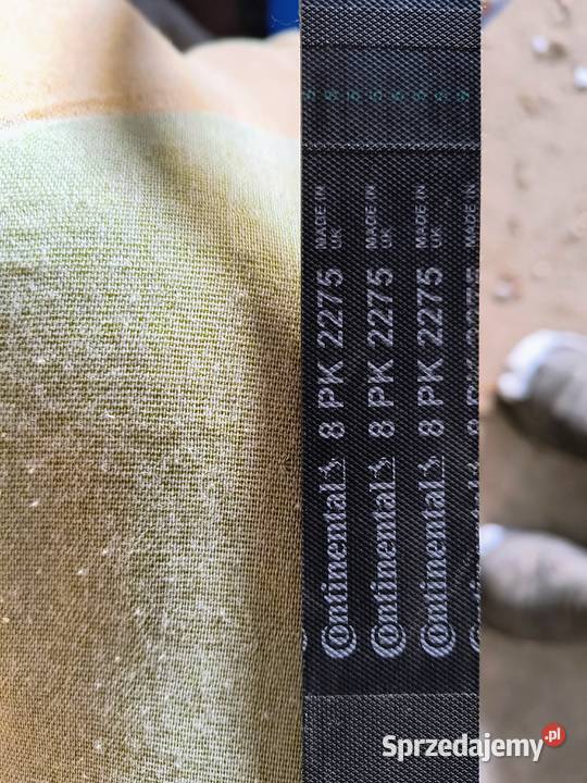 Pasek Continental PK8 2275 Bychawa