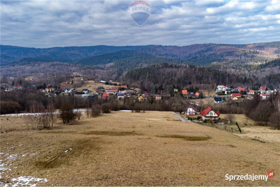 Działka budowlana 30 arów terenów leśnych 0m Las sprzedam
