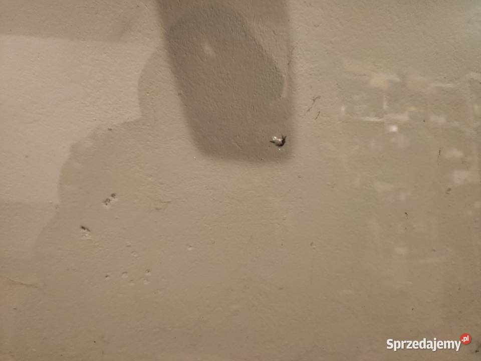 Szyba przednia BMW E90 Stalowa Wola