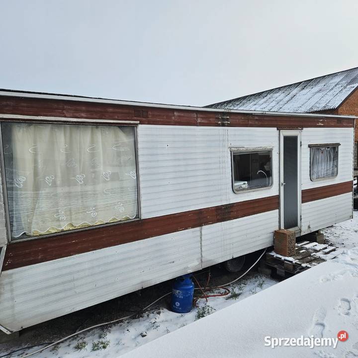 Kempingi domek holenderski Michałów Drugi