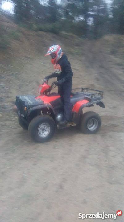 Quad Bashan Bs250S5