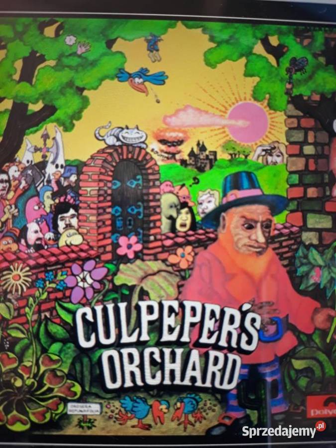 Perełka kolekcjonerska Prog Rocka CULPEPERS sprzedam