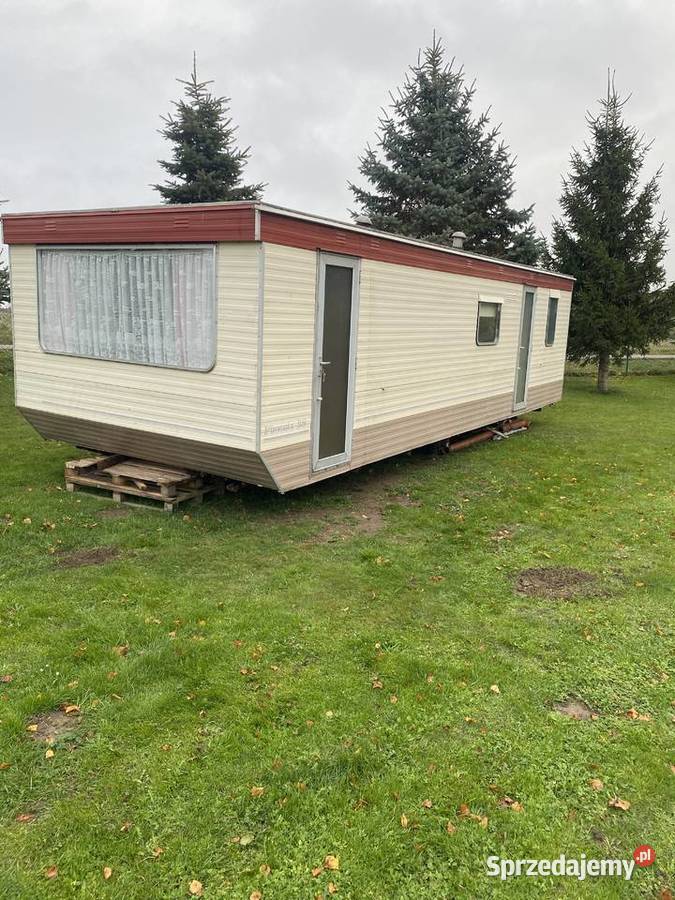 Domek holenderski angielski przyczepa kempingowa Niechorze