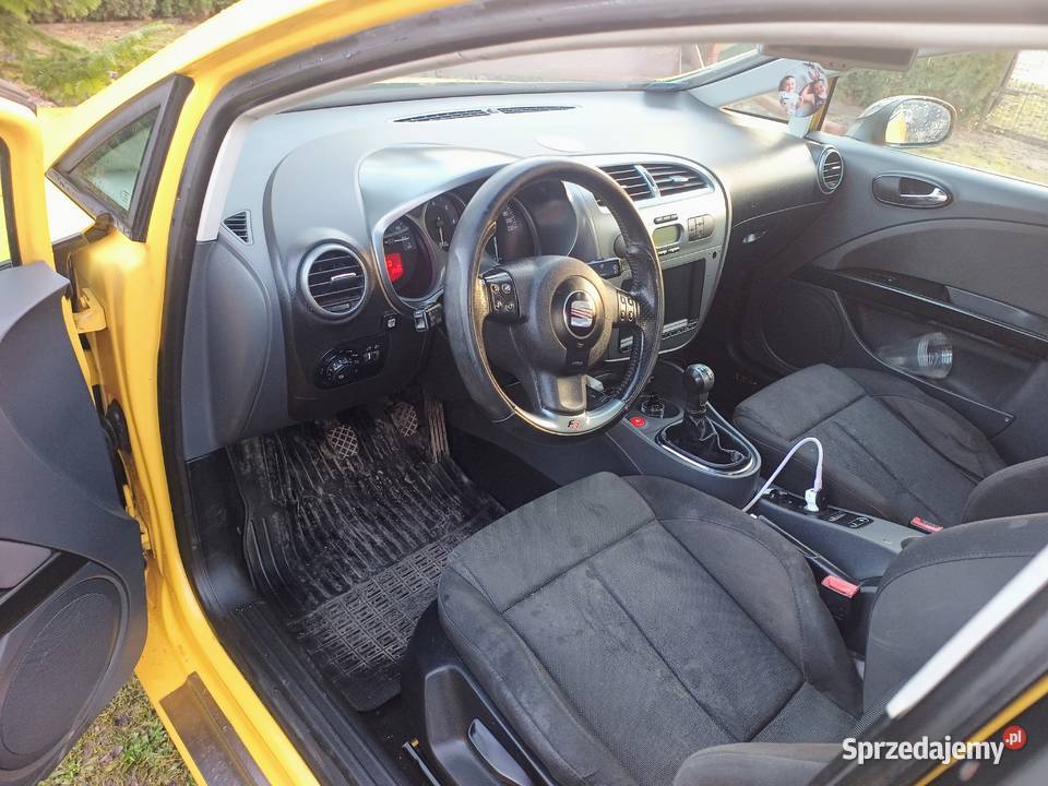 Piękny leon Leon Chmielnik