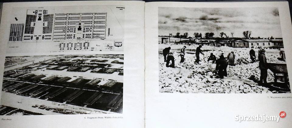 Majdanek Edward Dziadosz twarda Chełm sprzedam