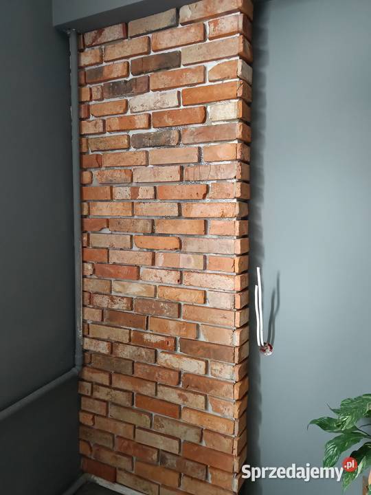 Płytki z lica cegłystara cegła