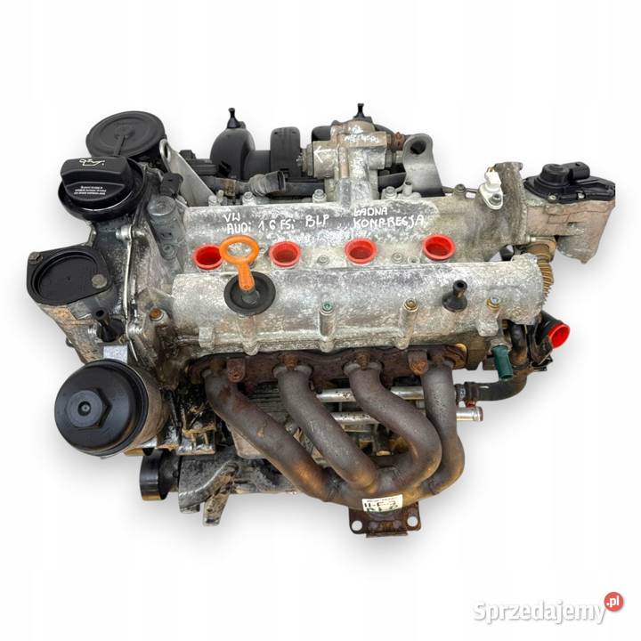 SILNIK BLP Audi A3 II 8P VW Touran Golf V 16 FSI osobowe lubelskie