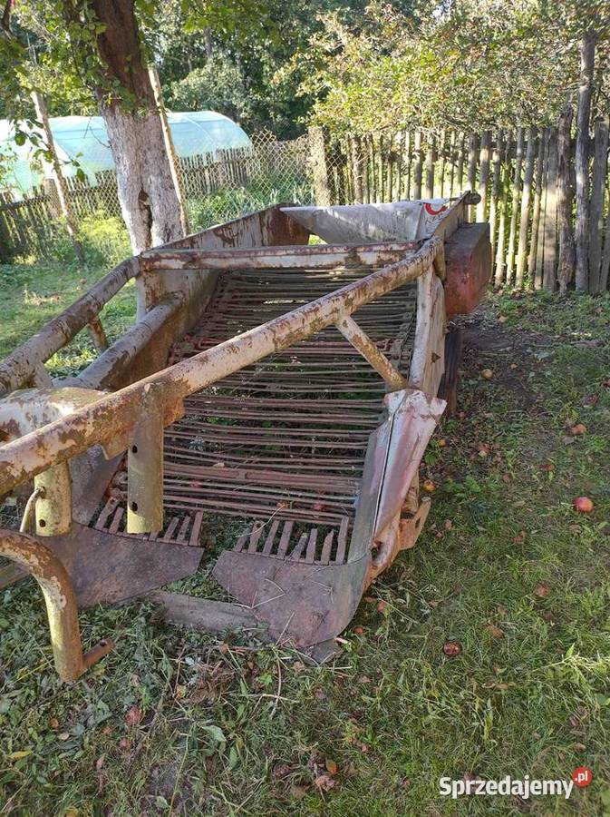Kopaczka elewatorowa do ziemniaków Olesno