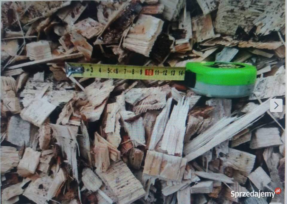 Zrębki drzew iglastych Brzeźno