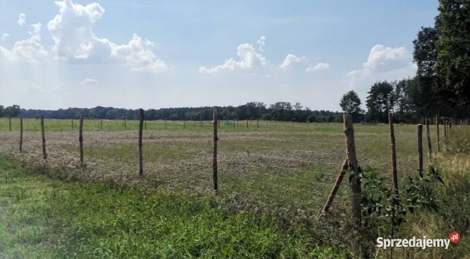 Płot Panelowy Ogrodzenie panelowe betonowe Turek sprzedam