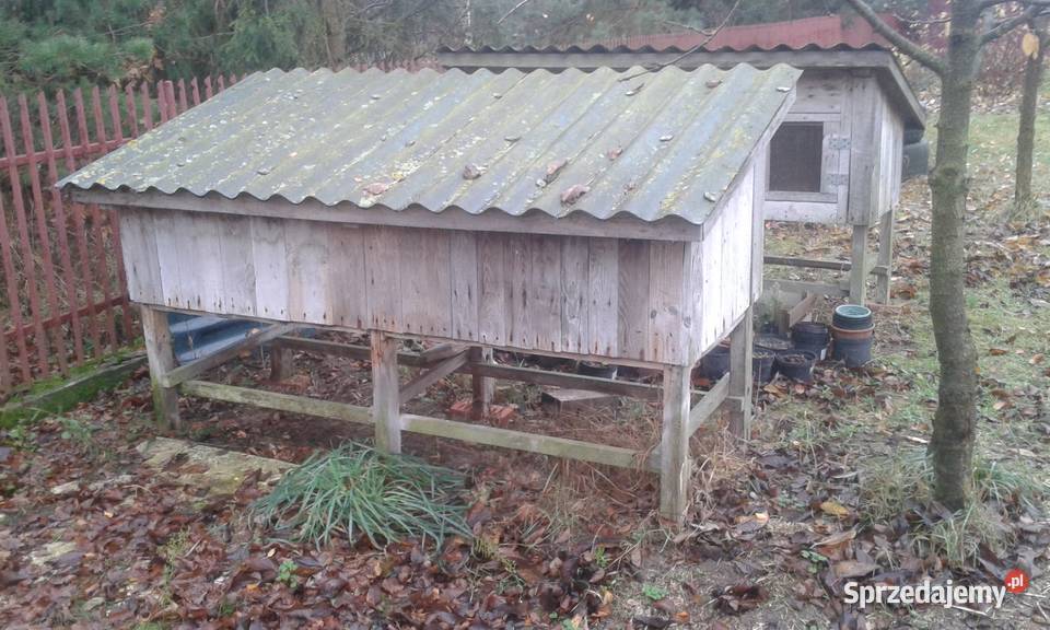 Klatki królików Przasnysz