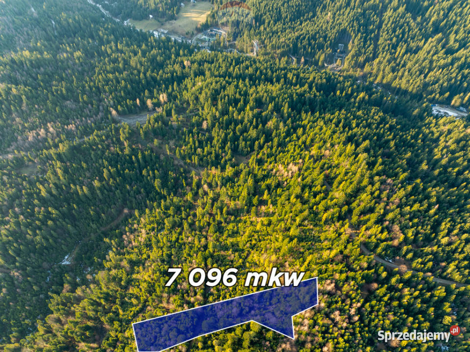 Grunt Ostrowsko 67m małopolskie sprzedam