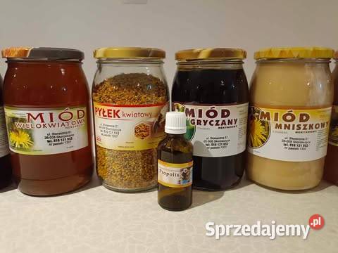 Sprzedam miód z własnej pasieki Górno sprzedam