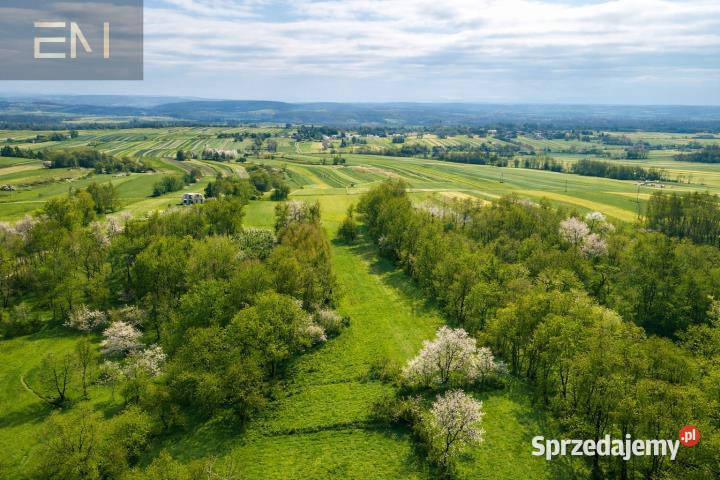 Działka Niepla 4215m2 rolna