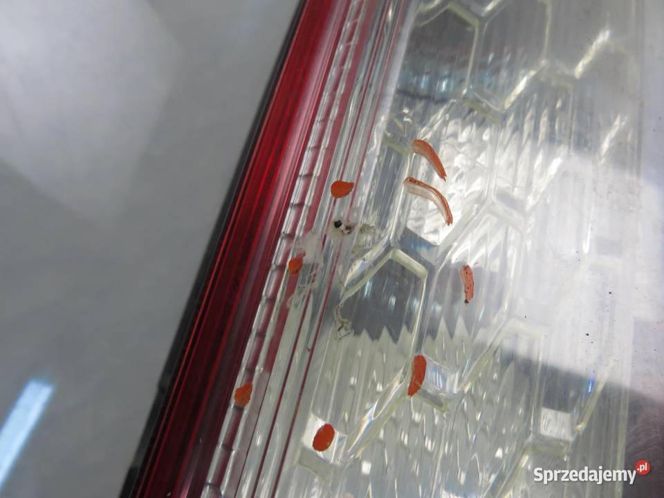 LAMPA PRAWA TYLNA FORD FOCUS MK2 II 8M5113404A