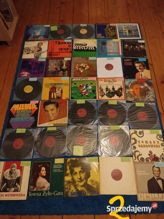 Płyty winylowe Gigantyczny MIX do wyboru do Sułów sprzedam