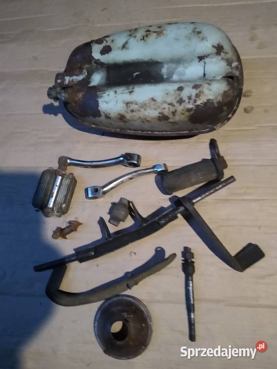 Żak ryś komar Pedał owiec pozostałość Kruszwica