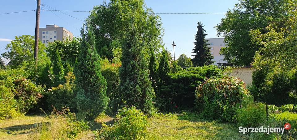 Ogródek działkowy ROD rekreacyjna